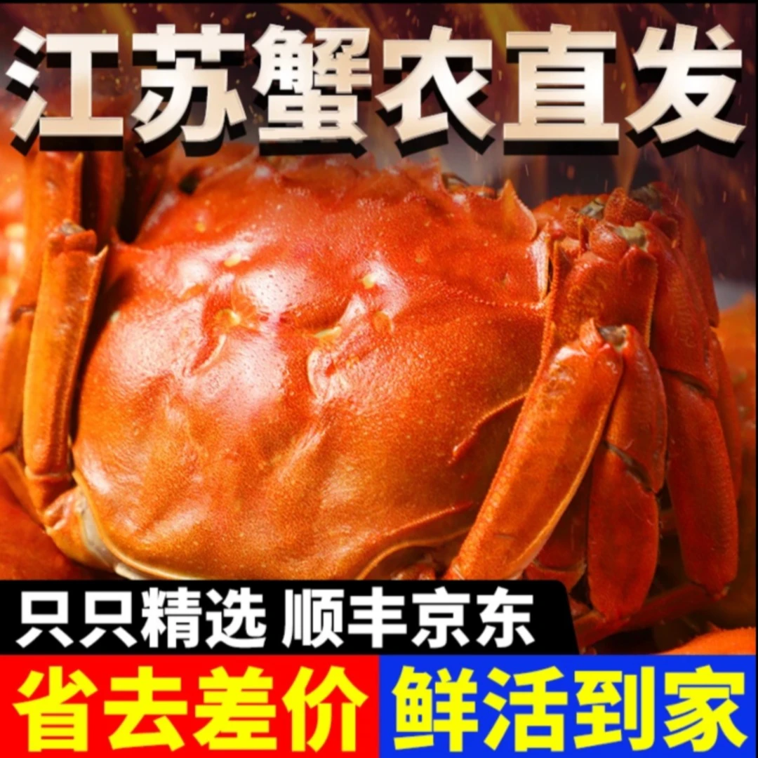 【苏州活蟹现货】江苏鲜活大闸蟹纯公蟹6.0-5.7两/只10只精品金标蟹全公 海鲜 鲜活现捞ZB