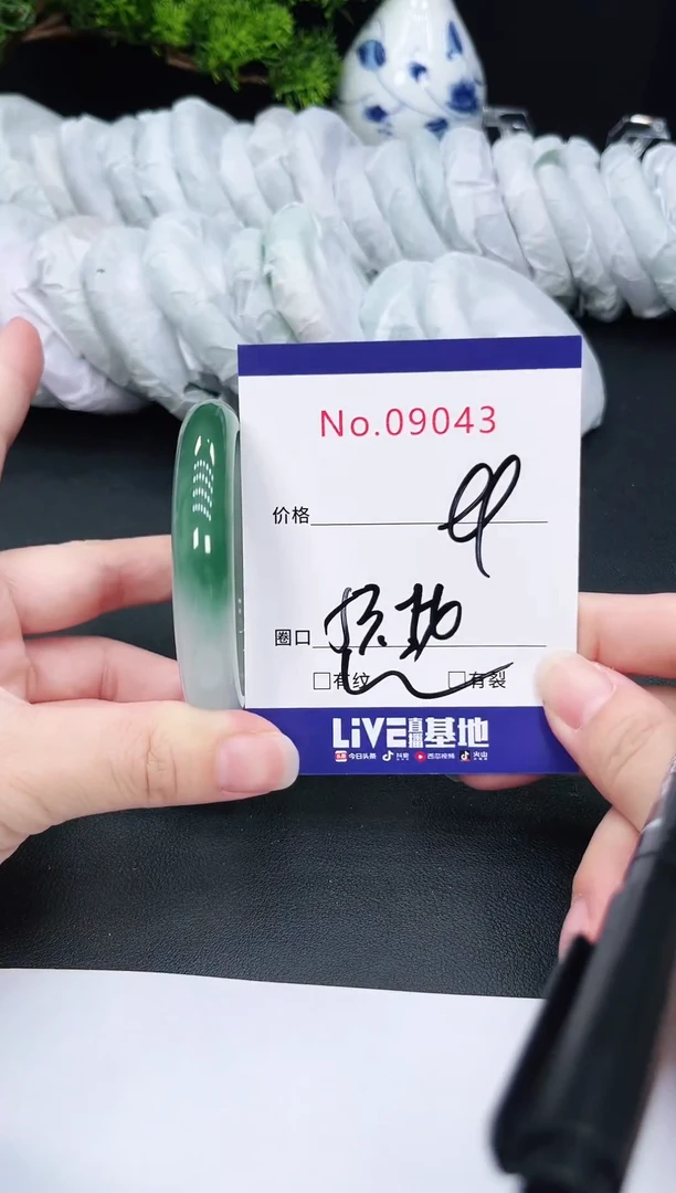 未镶嵌手镯翡翠9043