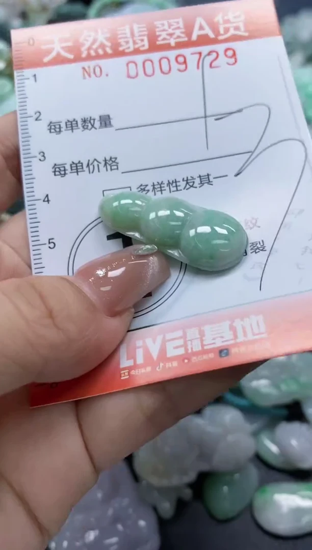 翡翠未镶嵌颈饰闪购0009729