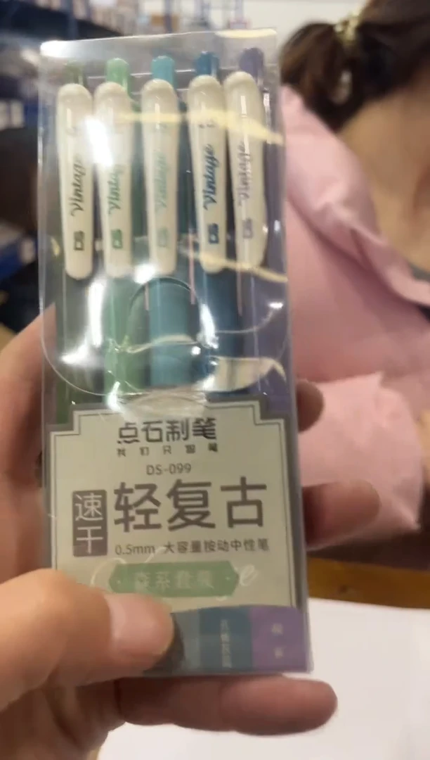 DS 森系轻复古中性笔1盒