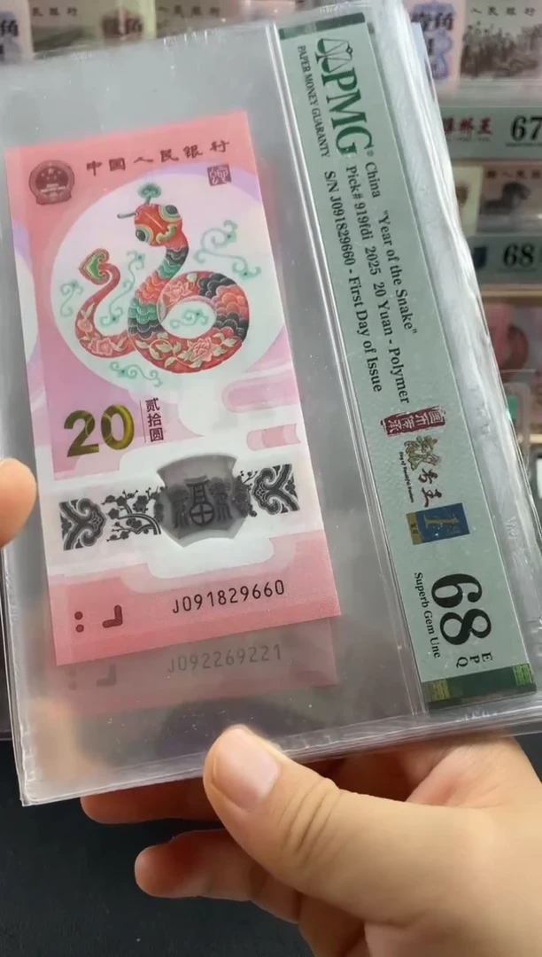 塑料蛇钞首日标单张68分朦胧号
