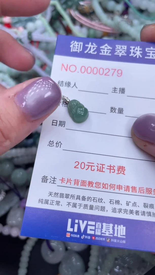 翡翠未镶嵌颈饰065