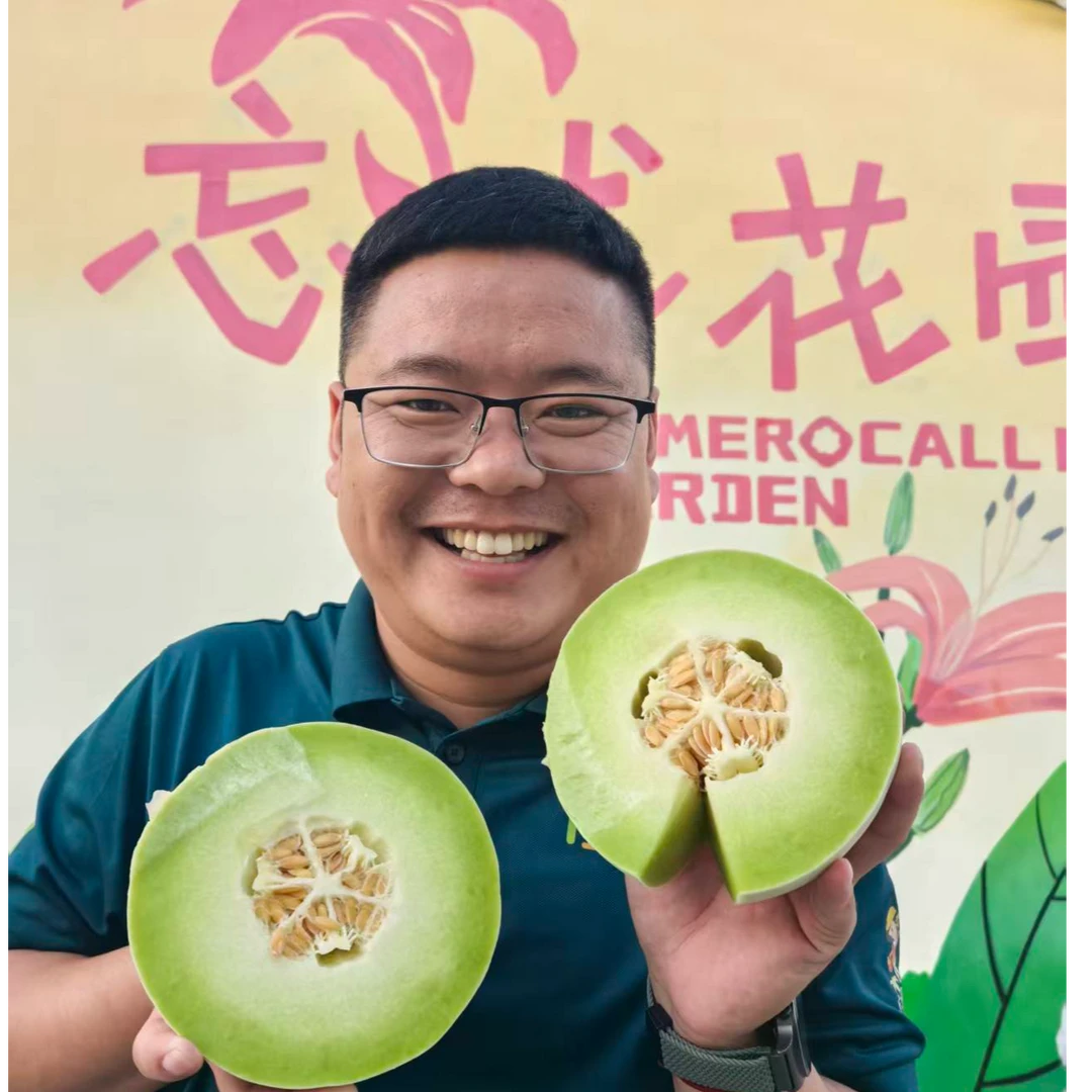 顺丰包邮山东新鲜采摘头茬玉菇甜瓜冰淇淋蜜瓜美味香甜水果