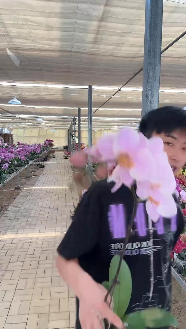 完全开放萨利纳斯