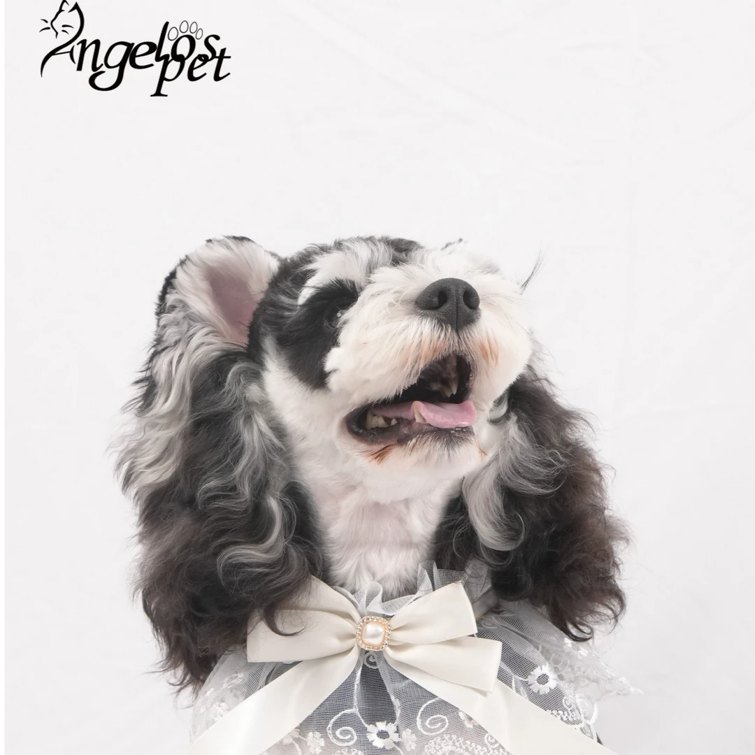 ins甜美蝴蝶结宠物围嘴蕾丝猫咪狗狗项圈小香风口水巾布偶猫衣服