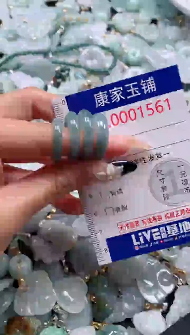 颈饰未镶嵌翡翠1561