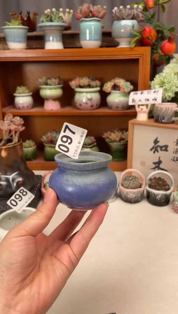 瓷片097微瑕知木小芳花盆