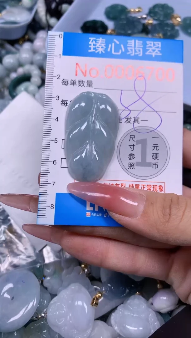 【闪购商品】翡翠颈饰未镶嵌含绳0006700