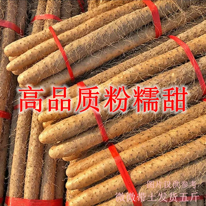 【高品质】铁棍山药软糯香甜营养美味产地直发农家垆土怀带土淮山药