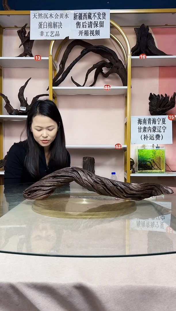 锦**族山丘沉木一物一拍A539