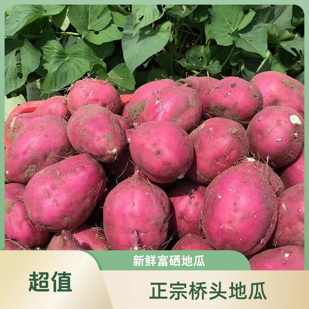 海南澄迈桥头富硒地瓜圆果5/9斤包邮夏日炎热介意发芽填拍