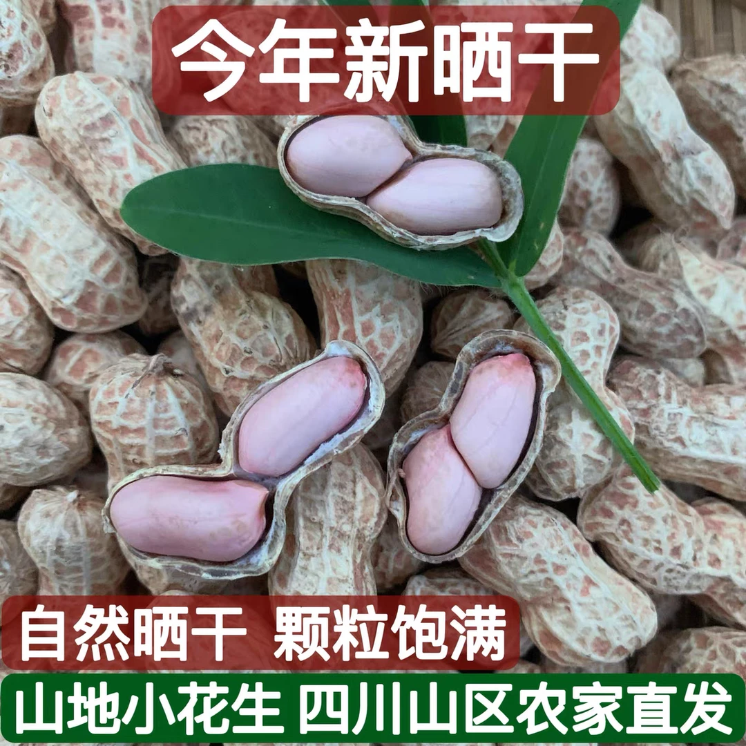 四川特产新鲜自然晒干花生农家自种带壳粉皮生花生可发芽做种榨油