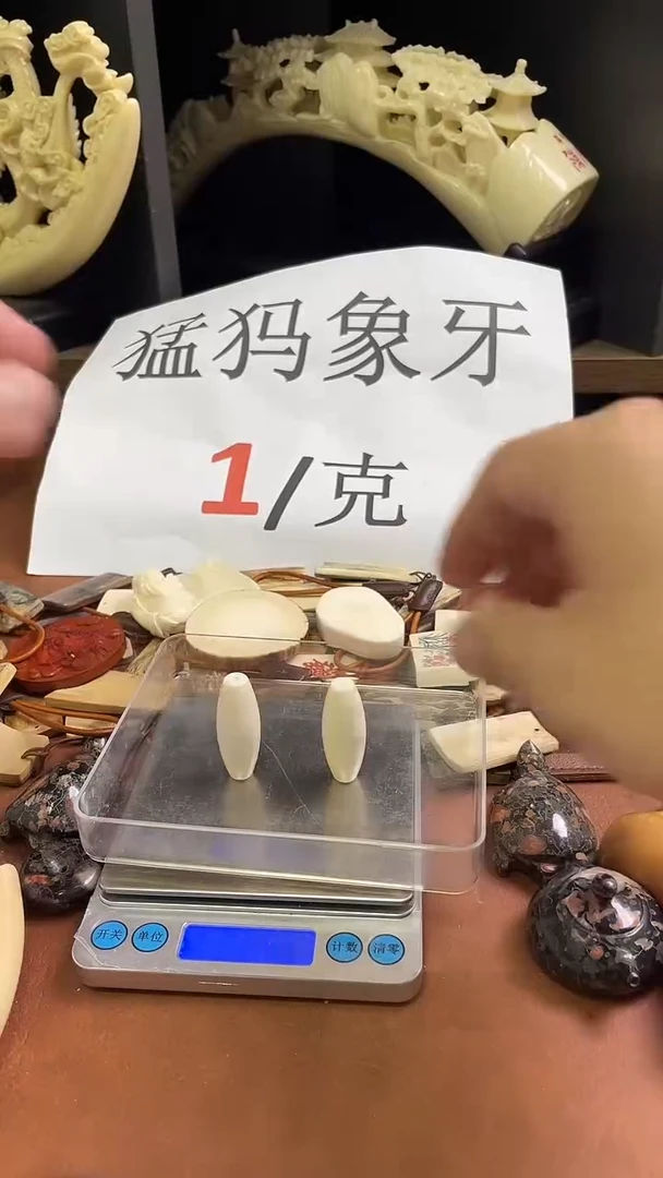 猛犸秋满脑天珠++