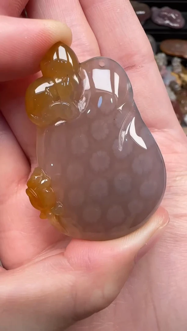 颈饰未镶嵌硅化珊瑚（珊瑚玉）556