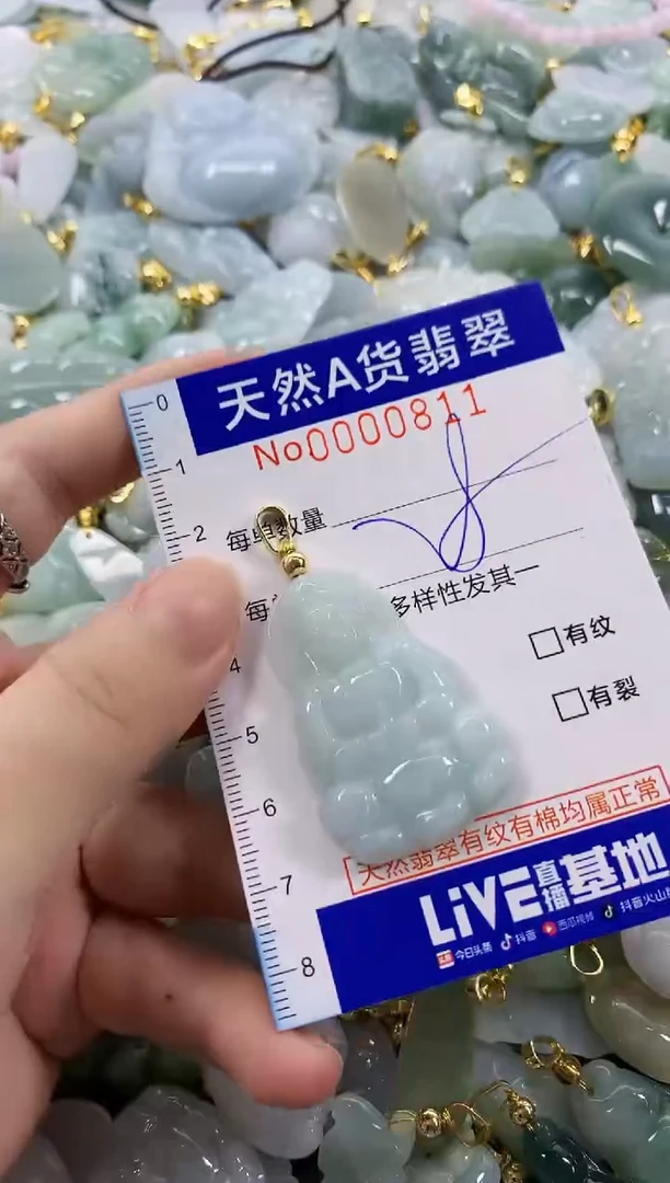 颈饰未镶嵌翡翠天然A货翡翠