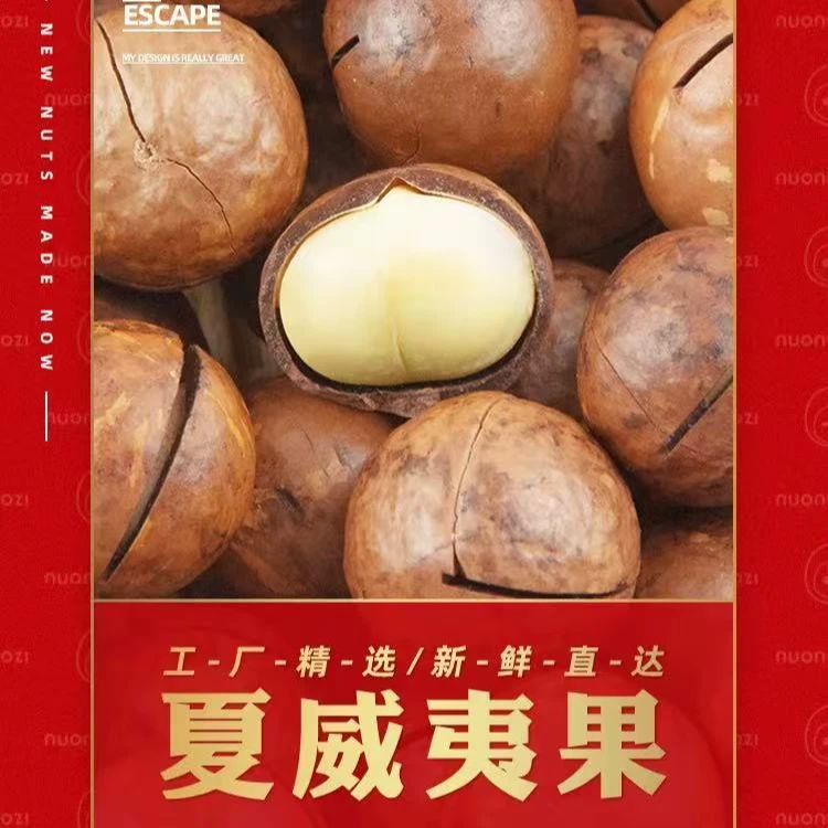 奶香味薄壳大颗粒夏威夷果休闲零食