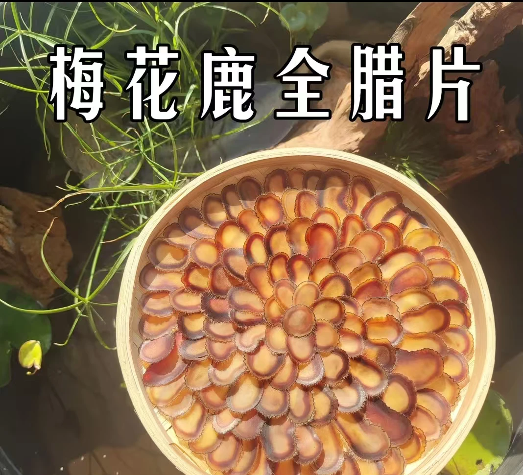 梅花鹿全腊片 吉林鹿乡原产地 可泡水煲汤的滋补珍品