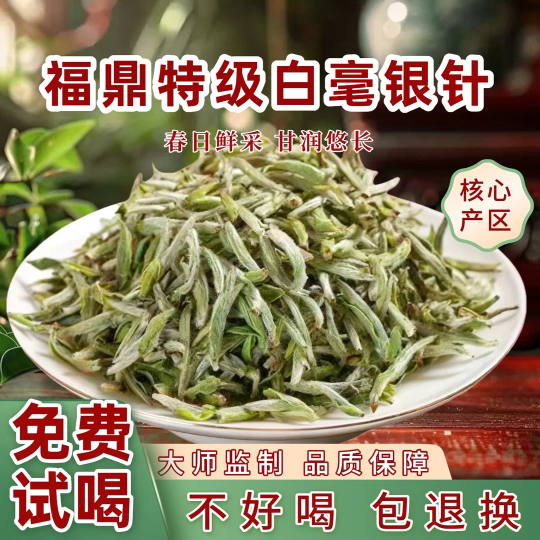 2025明前头采春芽特级白毫银针米针正宗福鼎高山白茶冷泡茶叶礼品