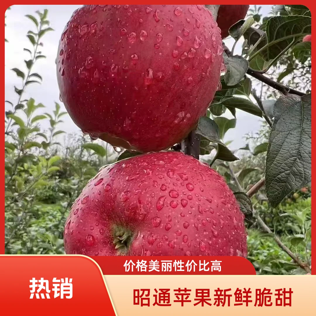 云南昭通红将军丑苹果新鲜应季现摘现发脆甜水果