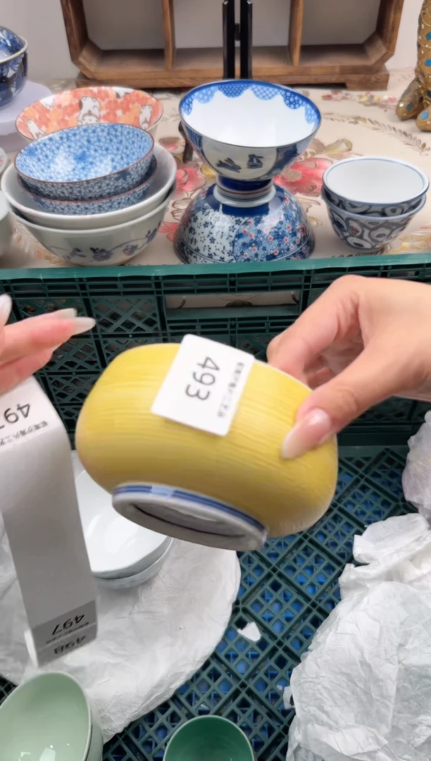 瓷片A-----------493