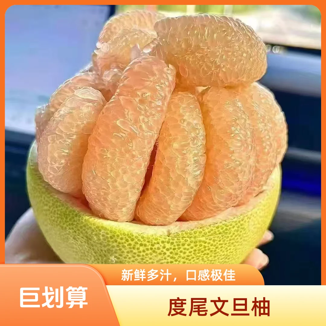 (小孔老树果)福建度尾文旦柚老树果子 肉嫩汁水多当季水果