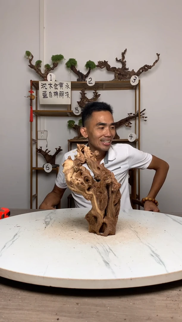 美****铺鱼缸造景沉木摆件