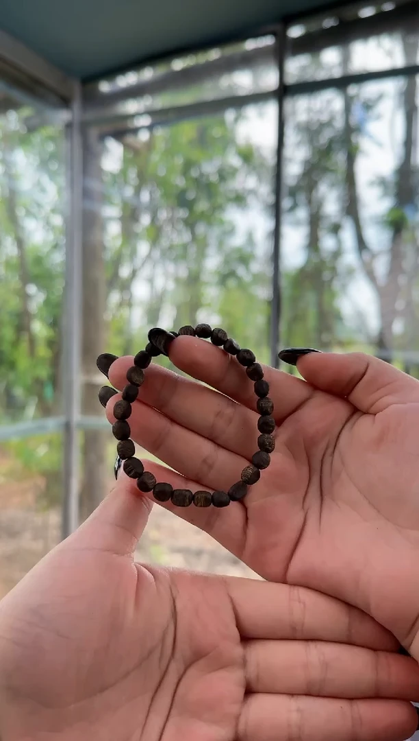 沉香手串海南莺歌绿奇楠全沉水陏型包头单圈，多样性发其一