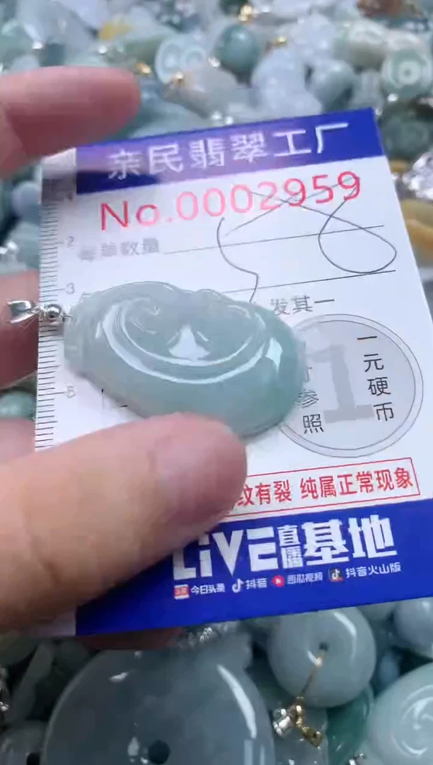 翡翠未镶嵌吊坠(不含链)2959