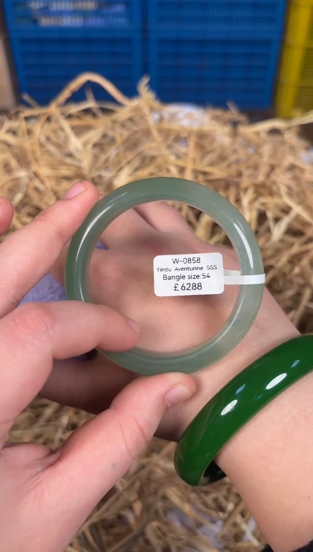 未镶嵌手镯石英质玉W0858