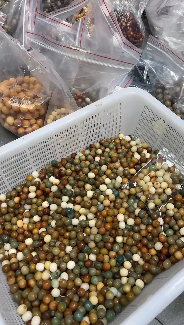 【闪购商品】菩提根/象牙果手串12枣珠20颗（639）
