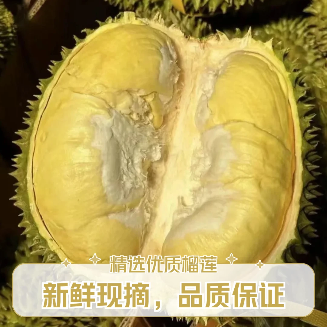 【京津冀次日达】AA级巴掌金枕榴莲 鲜榴莲软糯香甜小果核小2.5-6斤榴莲次日达金枕泰国东部