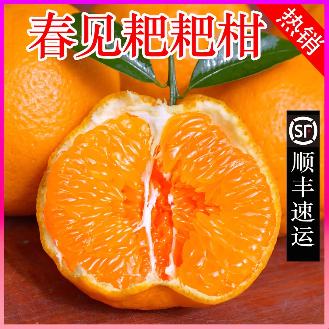 四川春见耙耙柑当季新鲜水果产地直发