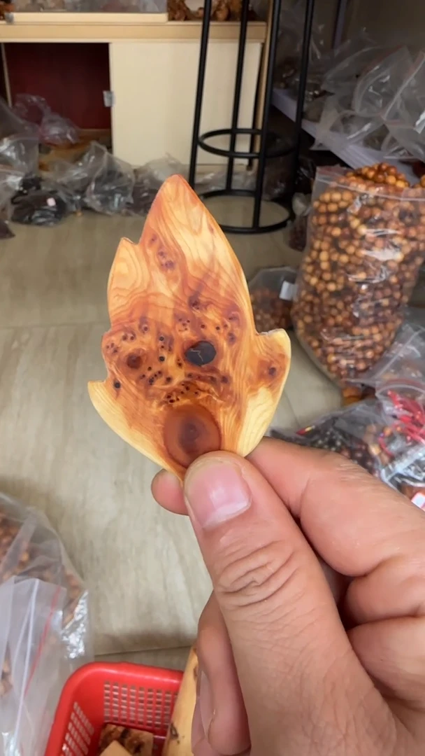 柏木（崖柏）其他金沙小树叶片片