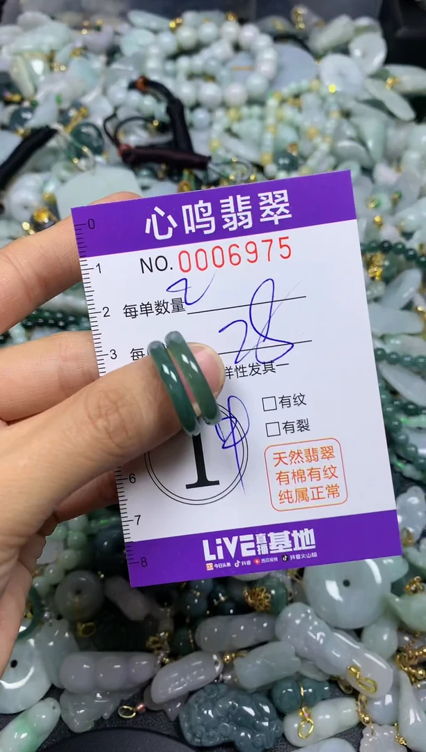 【闪购商品】翡翠颈饰未镶嵌闪购006975