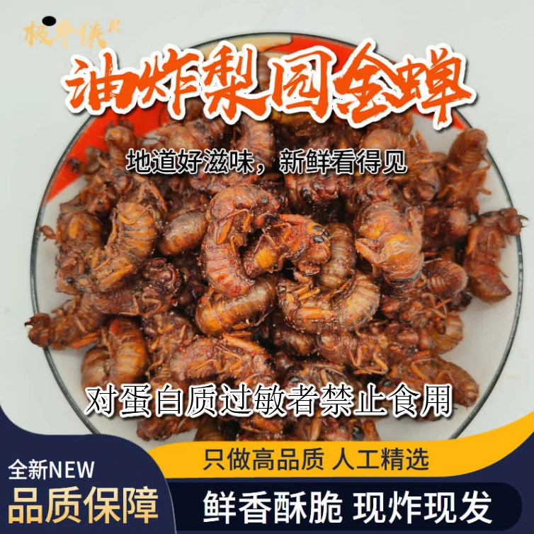 山东油炸梨园大个金蝉爬叉知了猴高蛋白加热即食麻辣椒盐下酒菜