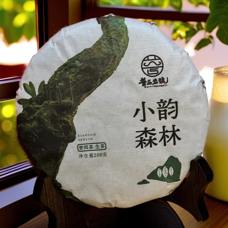【猎茶记跨年】普洱茶区2024年森林班章小韵森林古树饼茶生普