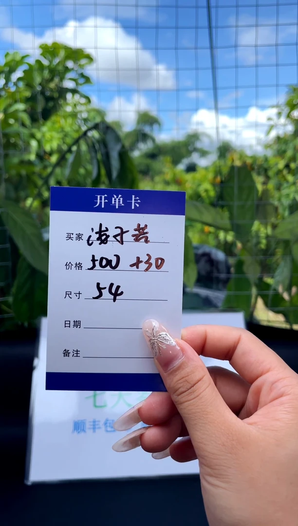 非金属无浅*若手镯下单链接一单一付
