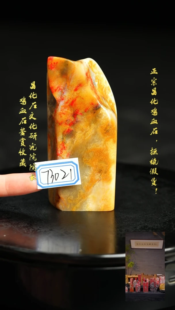 昌化石蓑*翁73021