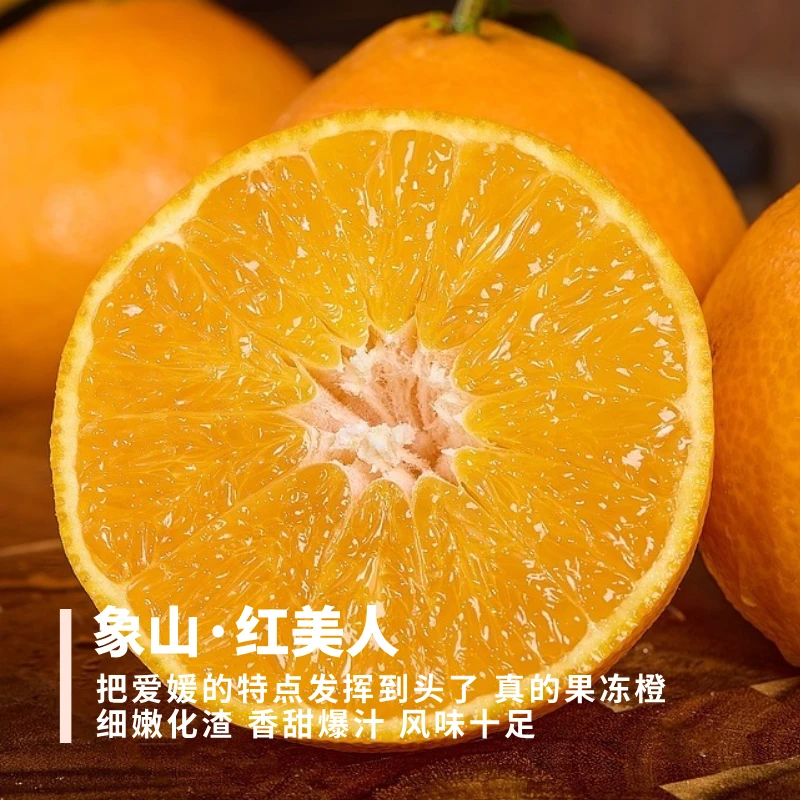 象山红美人 真果冻橙果肉细嫩化渣香甜爆汁风味十足甜酸比好 5斤