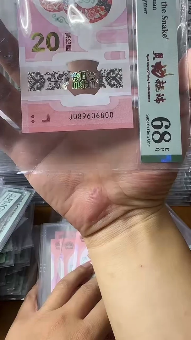 塑料089606800-蛇钞单张