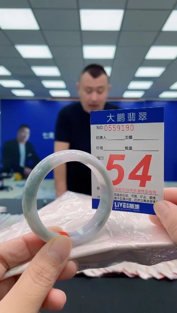 未镶嵌手镯翡翠AAAAAAAAA