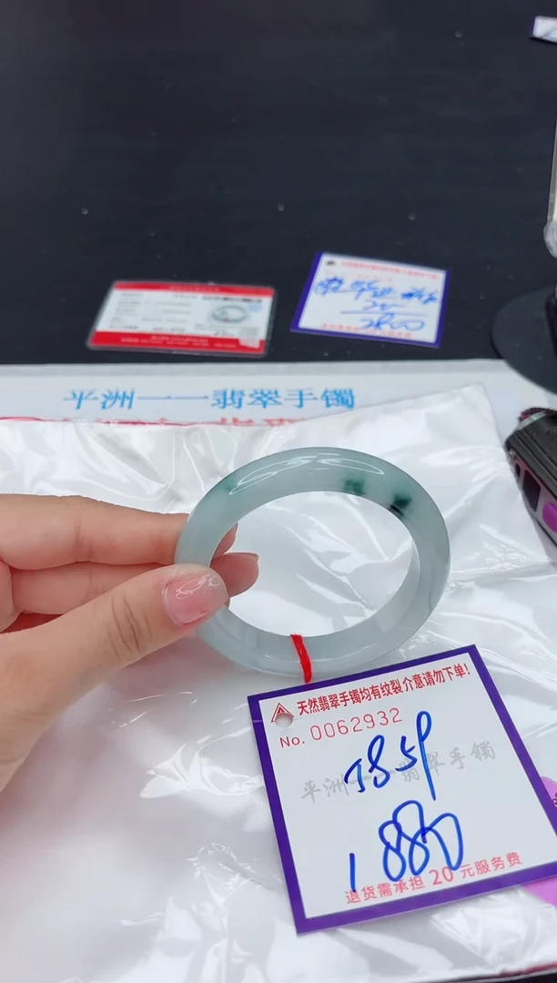 未镶嵌手镯翡翠1