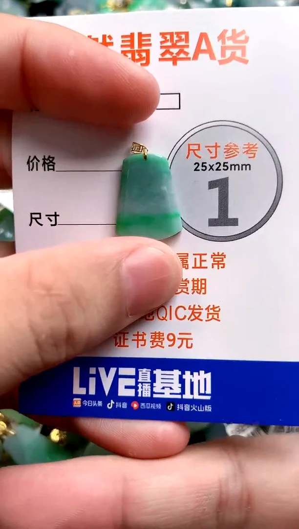 颈饰18K金镶嵌翡翠0013130141