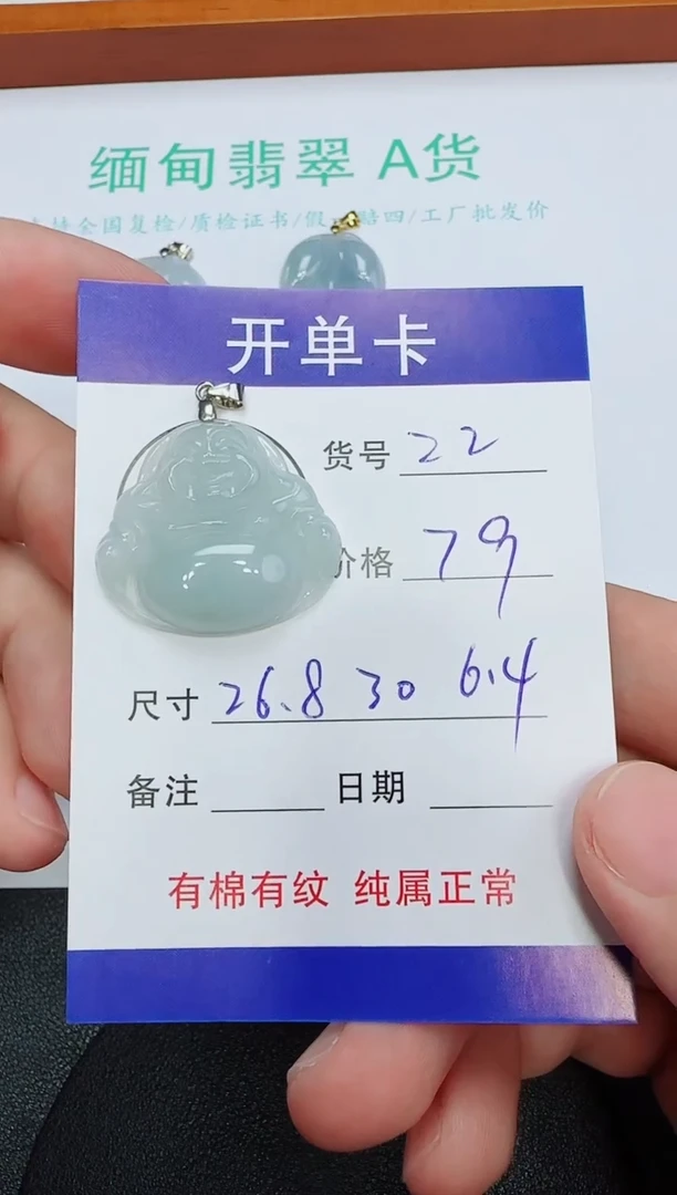 吊坠(赠链)未镶嵌翡翠22