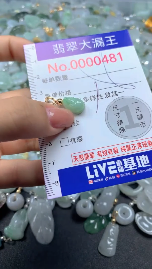 颈饰未镶嵌翡翠481