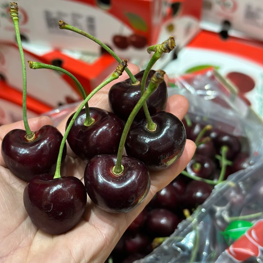 【送货上门】智利进口 瑞吉娜 2JD 加大加黑车厘子 净重5斤原箱