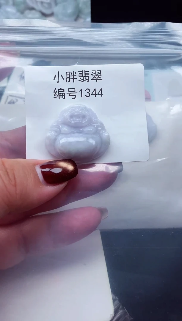颈饰未镶嵌翡翠缅甸天然A货翡翠1344