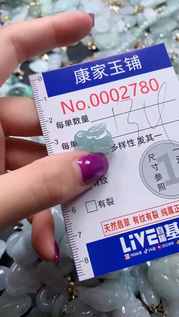 颈饰未镶嵌翡翠2780