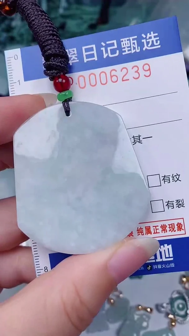 翡翠未镶嵌颈饰00006239