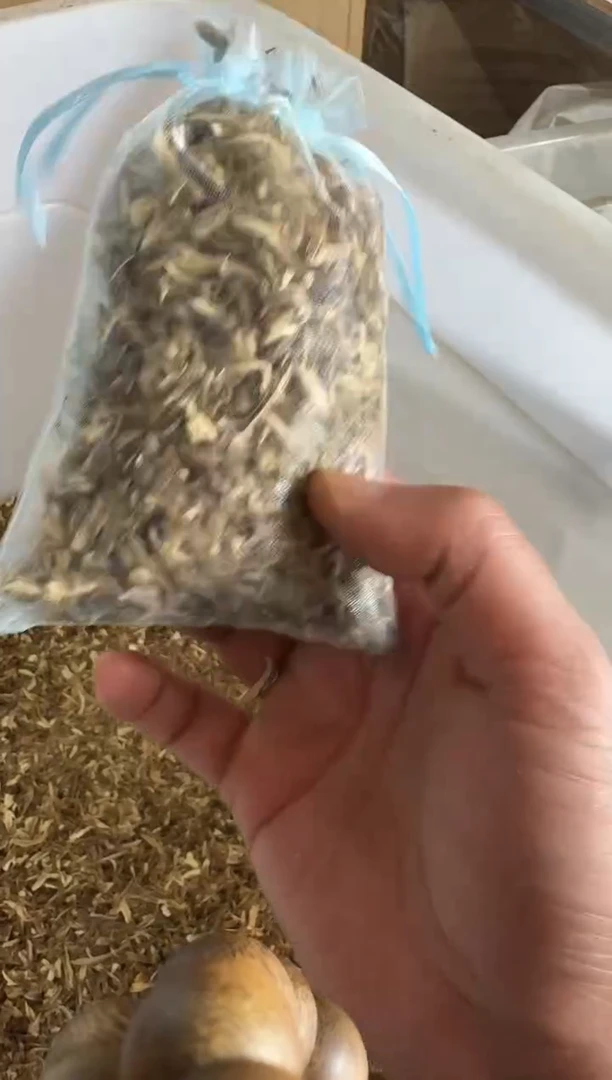 沉香碎屑沉香绿棋楠沉香勾丝40克